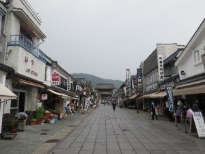 IMGP3295