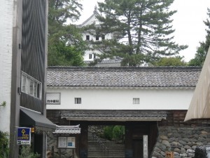 IMGP3325