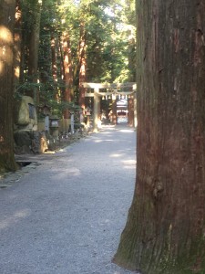 鈴鹿市　椿大神社