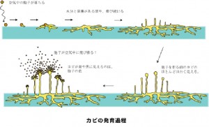 名称未設定 4