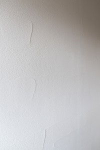 _DSC0690