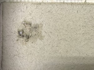 近畿壁材 土壁の防カビ対策