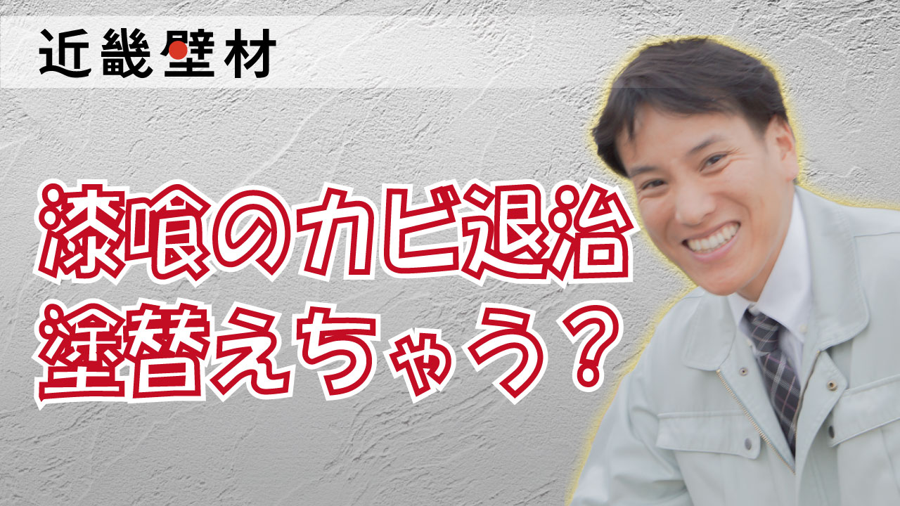 近畿壁材 | 防カビ防汚の漆喰｜しっくいリライム外壁用カビや汚れに